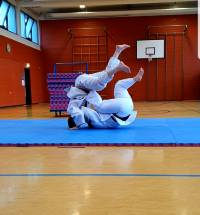 Die Kunst des Judos